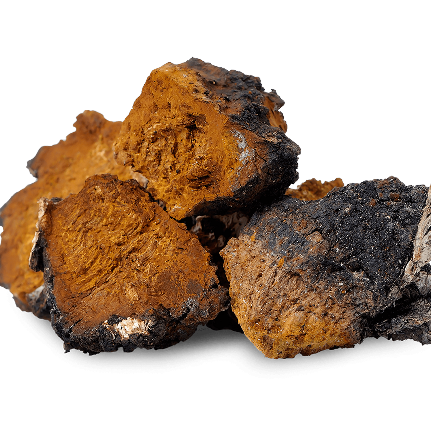 Chaga - 120 Capsules